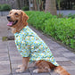 Sky Blue Printed Velvet Shirt for Dog | Soft and Warm
