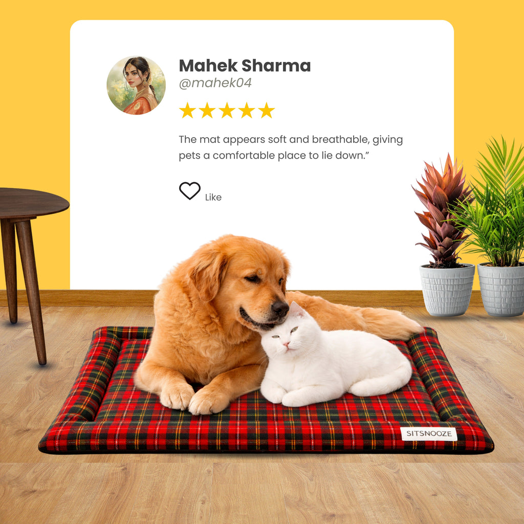 SnoozePad Mat Red Green Stripe