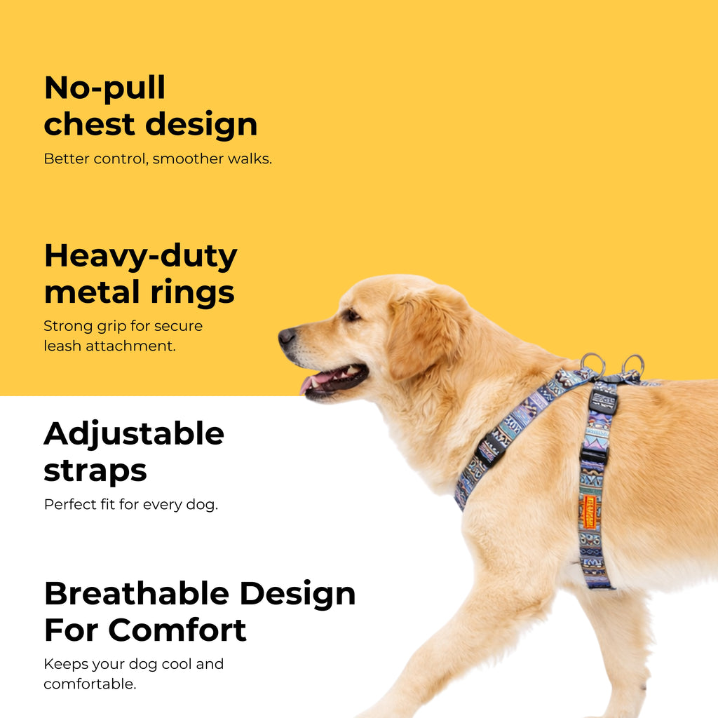 Azure Trail Harness & Matching Leash