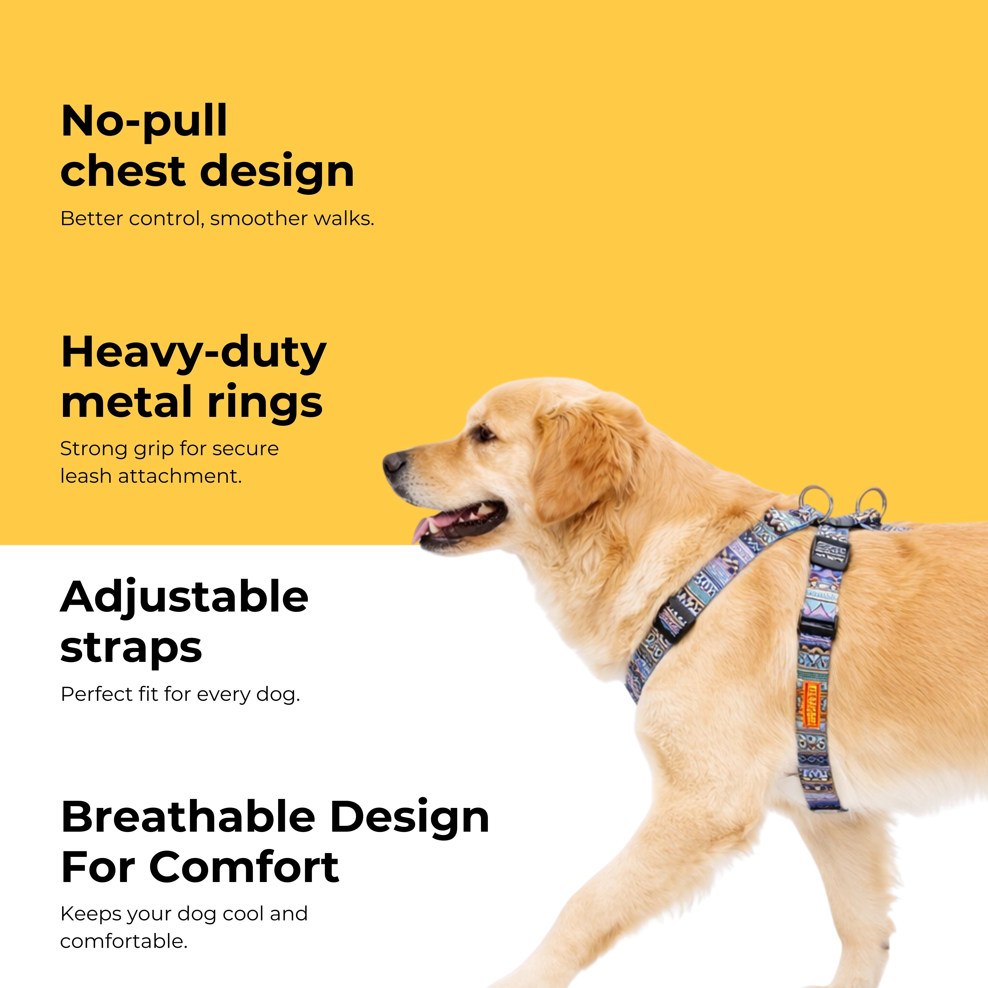 Azure Trail Harness & Matching Leash