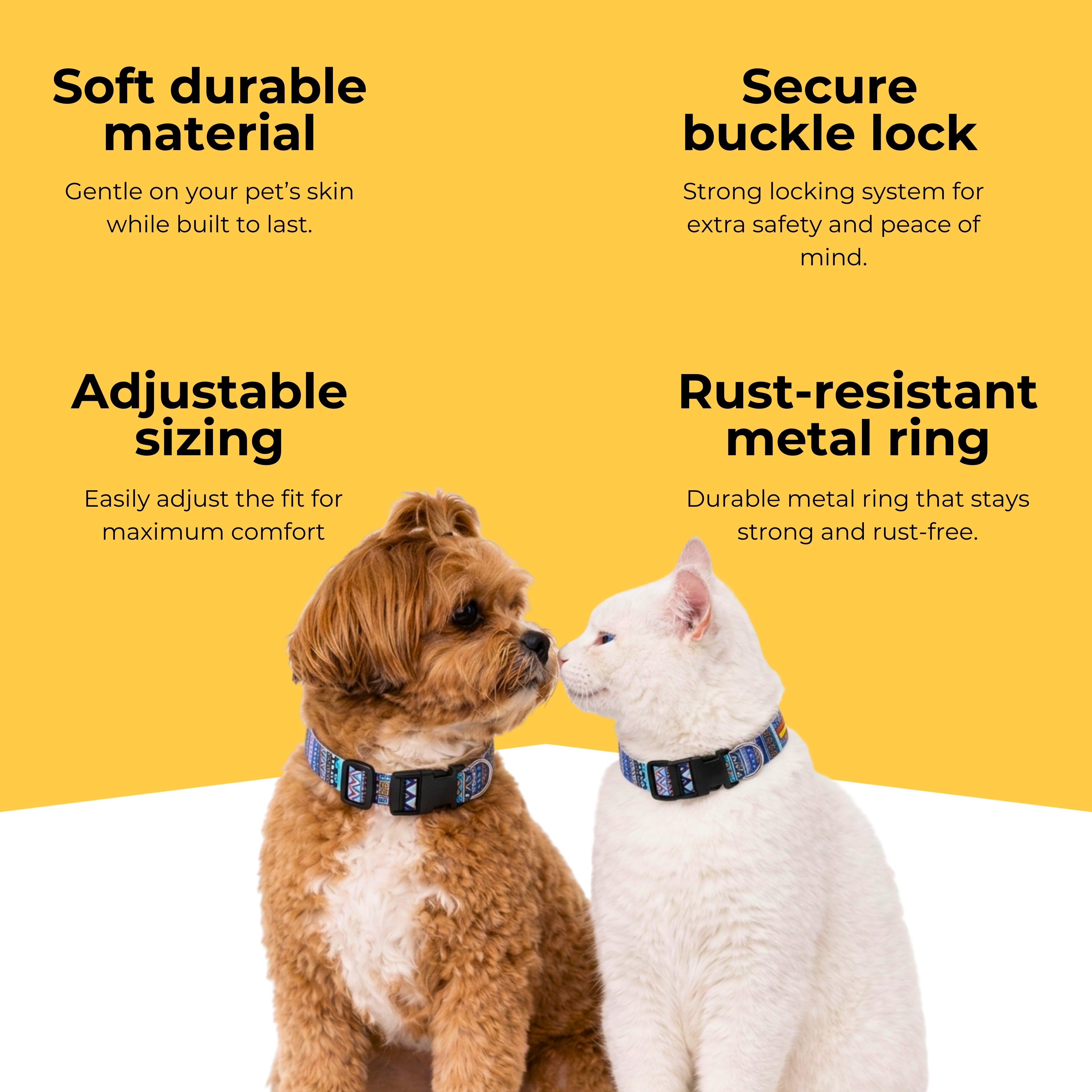 Azure Trail Collar & Matching Leash