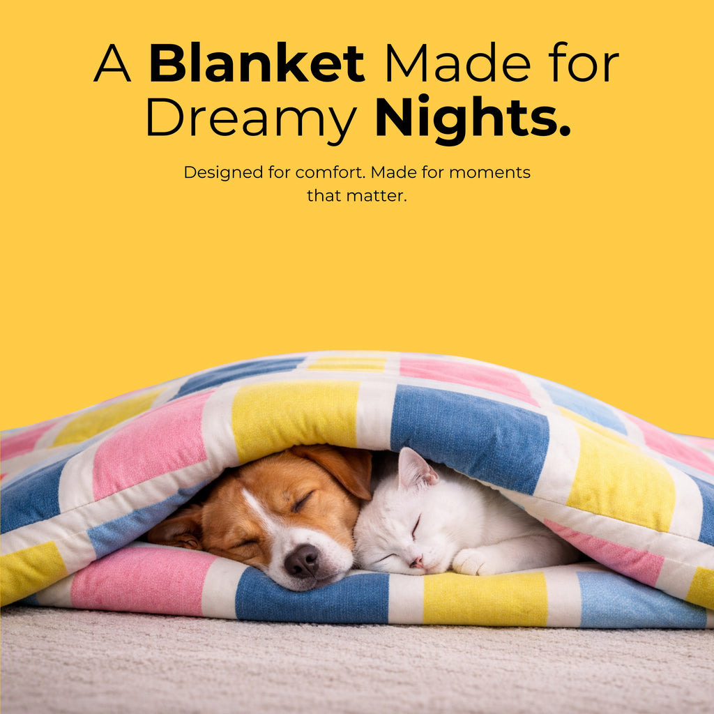 Candy Blocks Dog AC Comforter