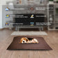 Brown Rectangle Shape Dog Bed for Summer Season