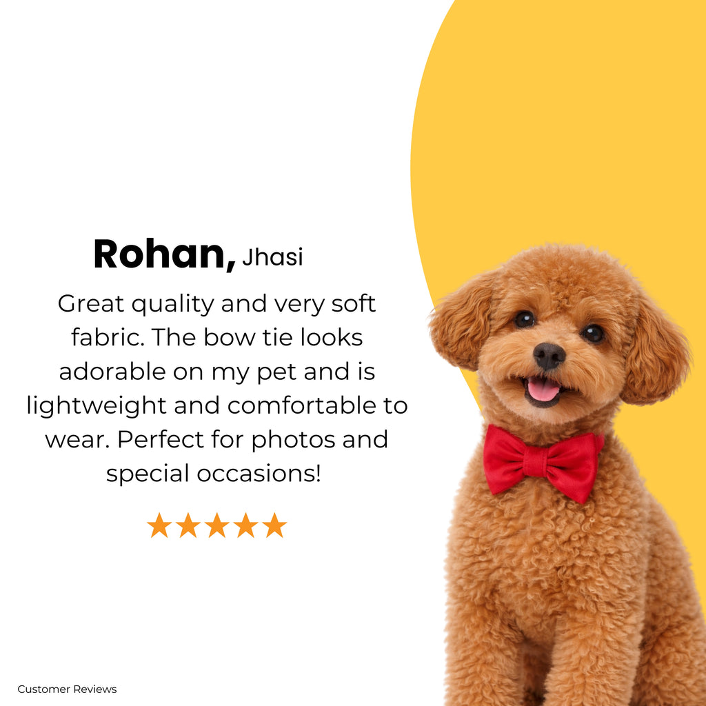 Signature Bow Tie For Dog