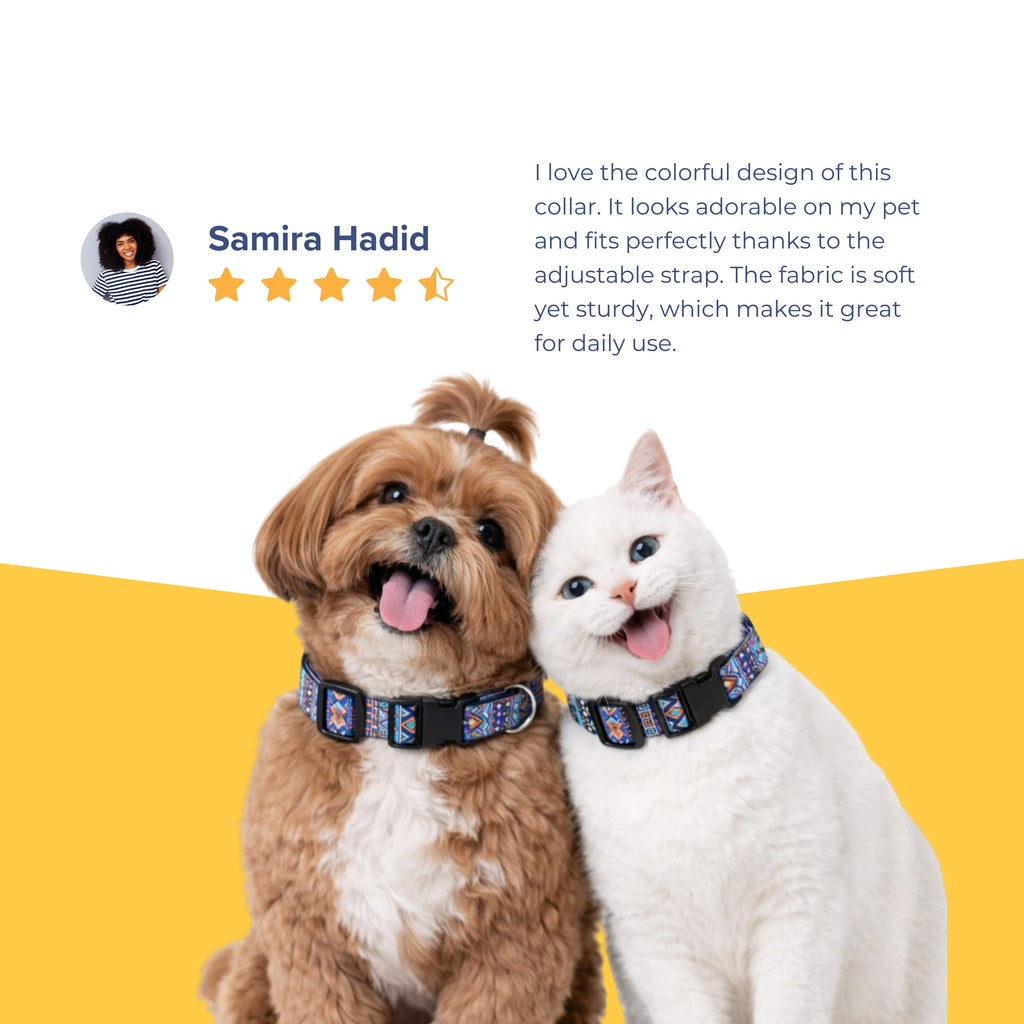 Azure Trail Collar & Matching Leash