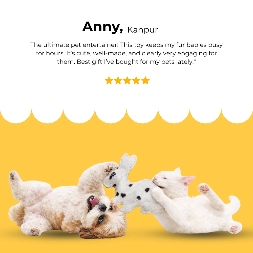BunnyHop Squeaky Toy