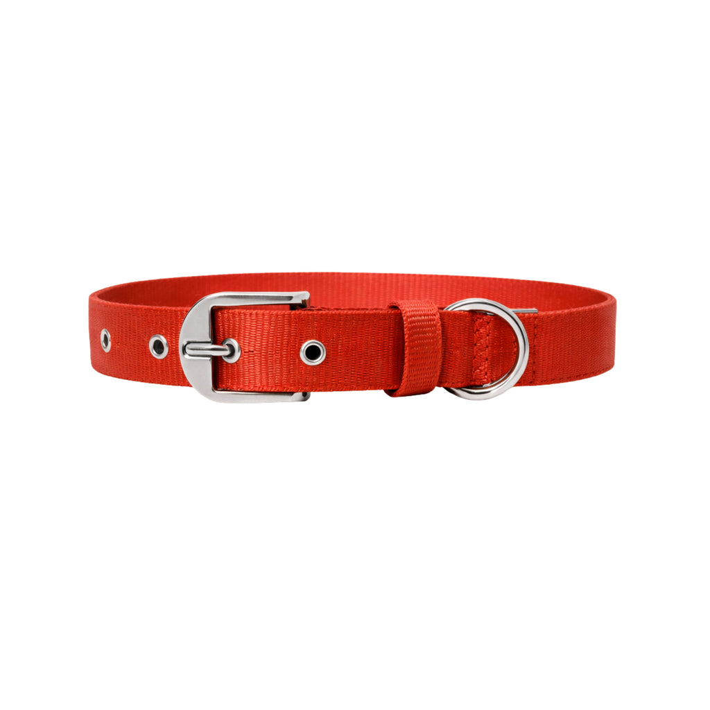 Guardian Collar & Matching Leash