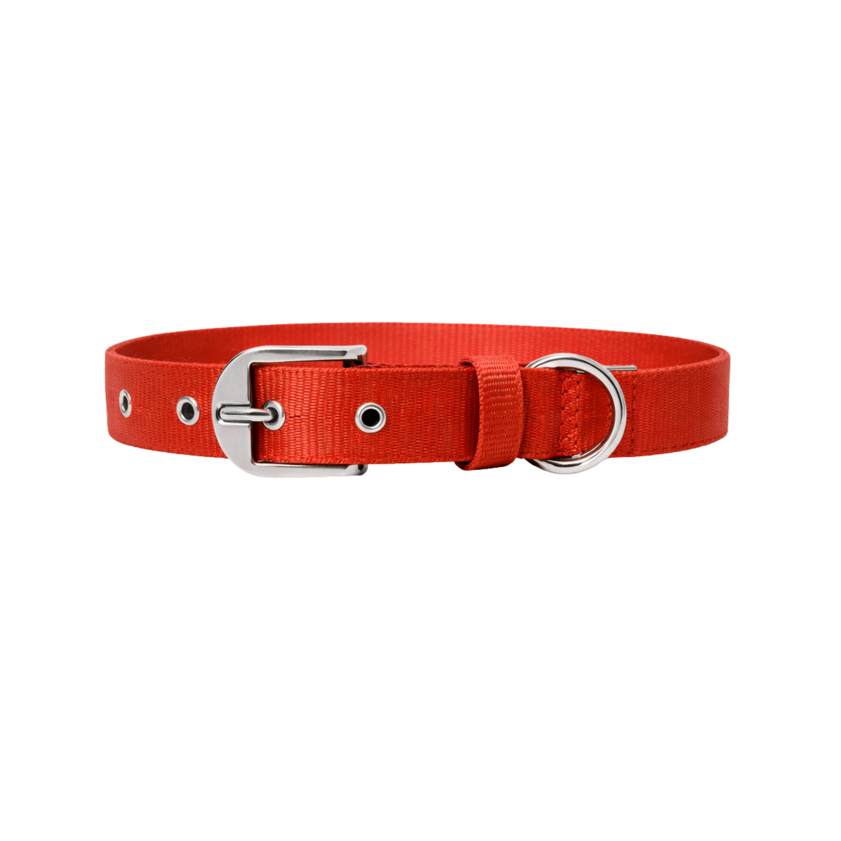 Guardian Collar & Matching Leash