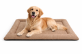 DailyRest Cooling Dog Mat