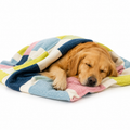 Candy Blocks Dog AC Comforter