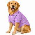 Lavender Plaid Shirt