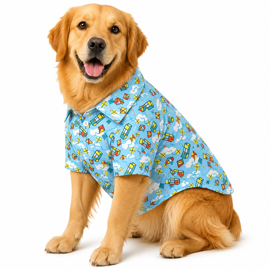KiteDay Shirt