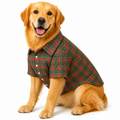 Holiday Plaid Shirt
