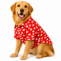 FloralJoy Shirt