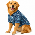 DeepBlue Shirt