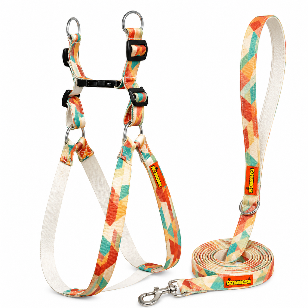 Sunset Harness & Matching Leash