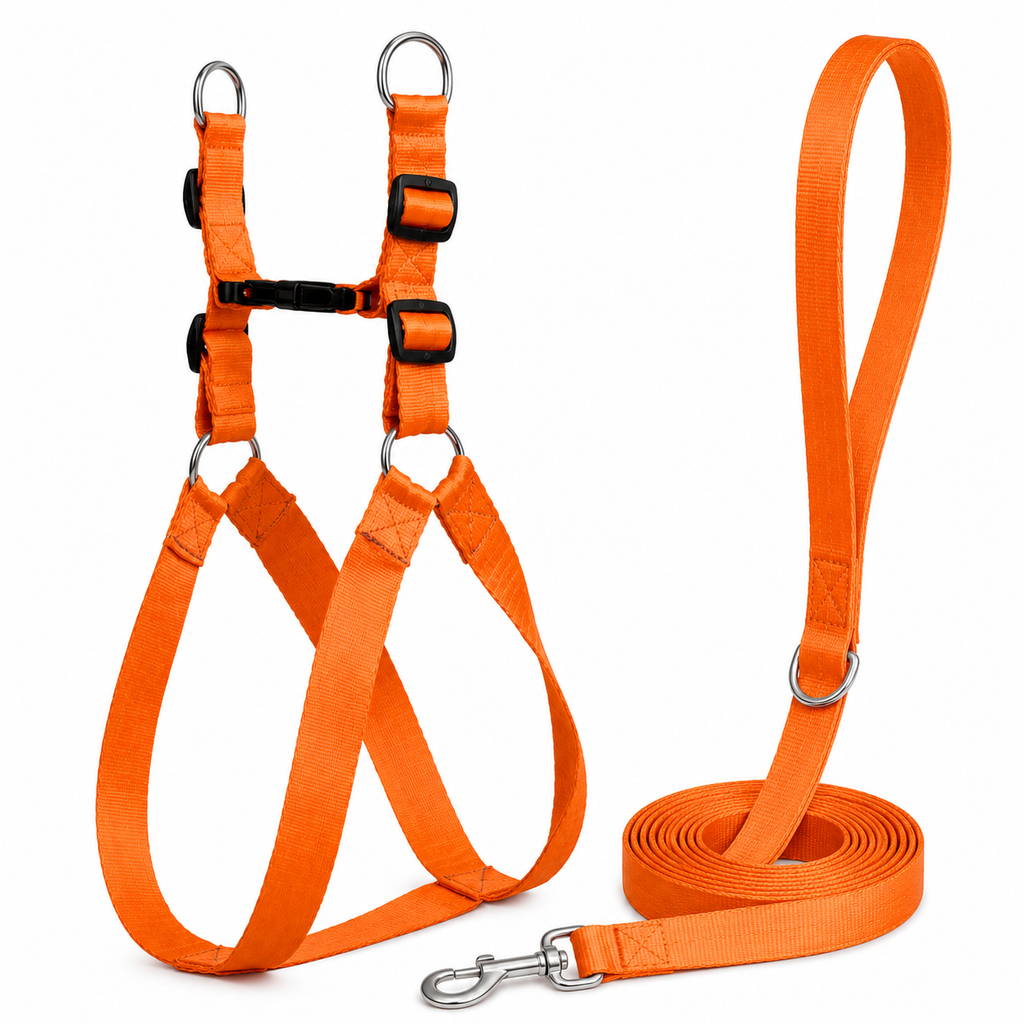 HappyPup Harness & Matching Leash
