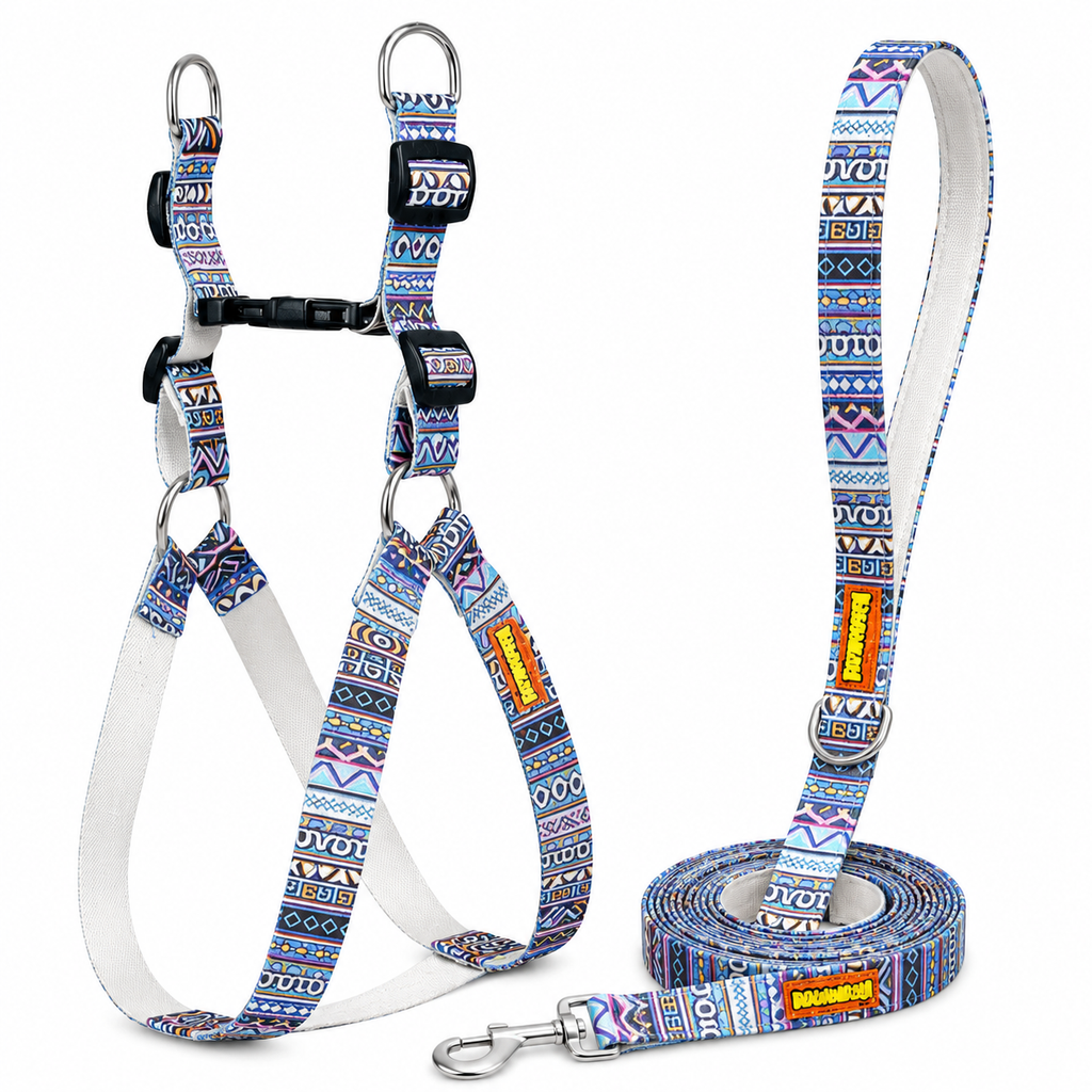 Azure Trail Harness & Matching Leash