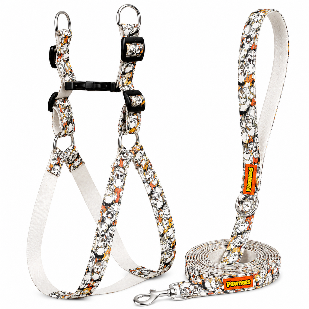 BuddyPrint Harness & Matching Leash