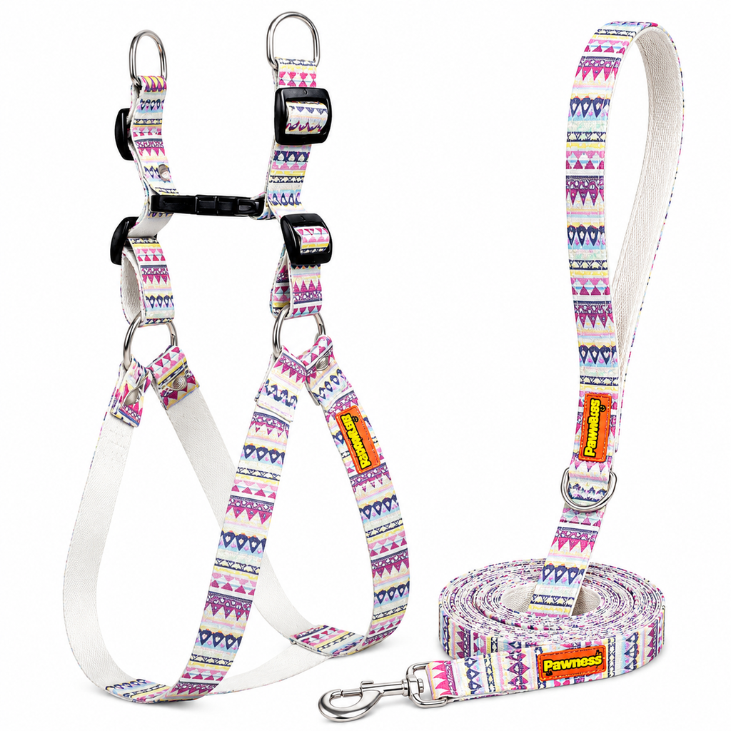 Candy Trail Harness & Matching Leash
