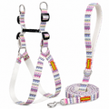 Candy Trail Harness & Matching Leash