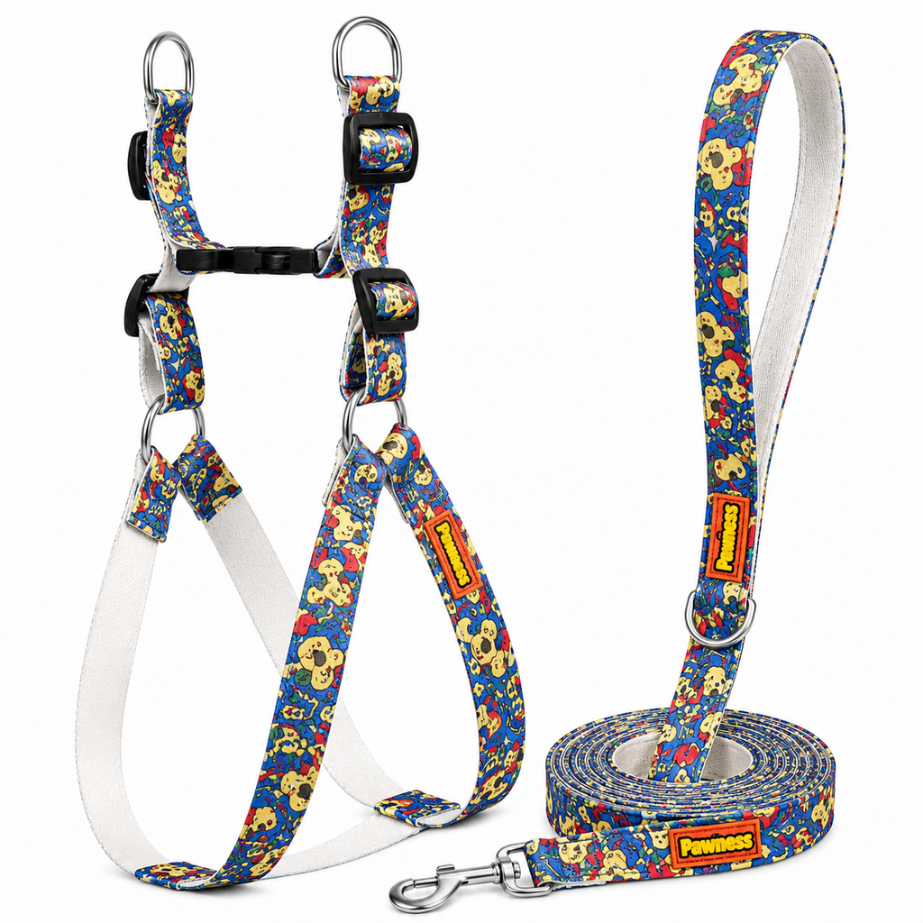 FunTrail Harness & Matching Leash