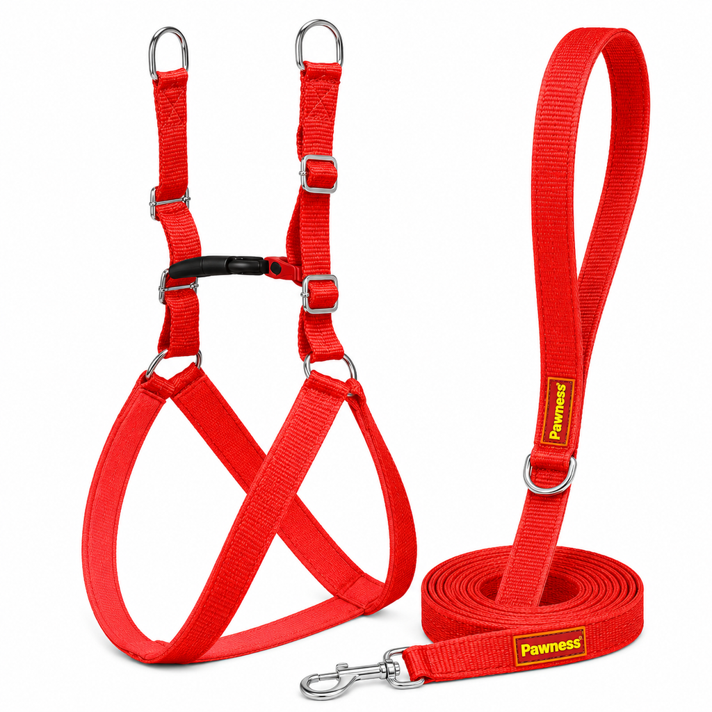 Guardian Harness & Matching Leash