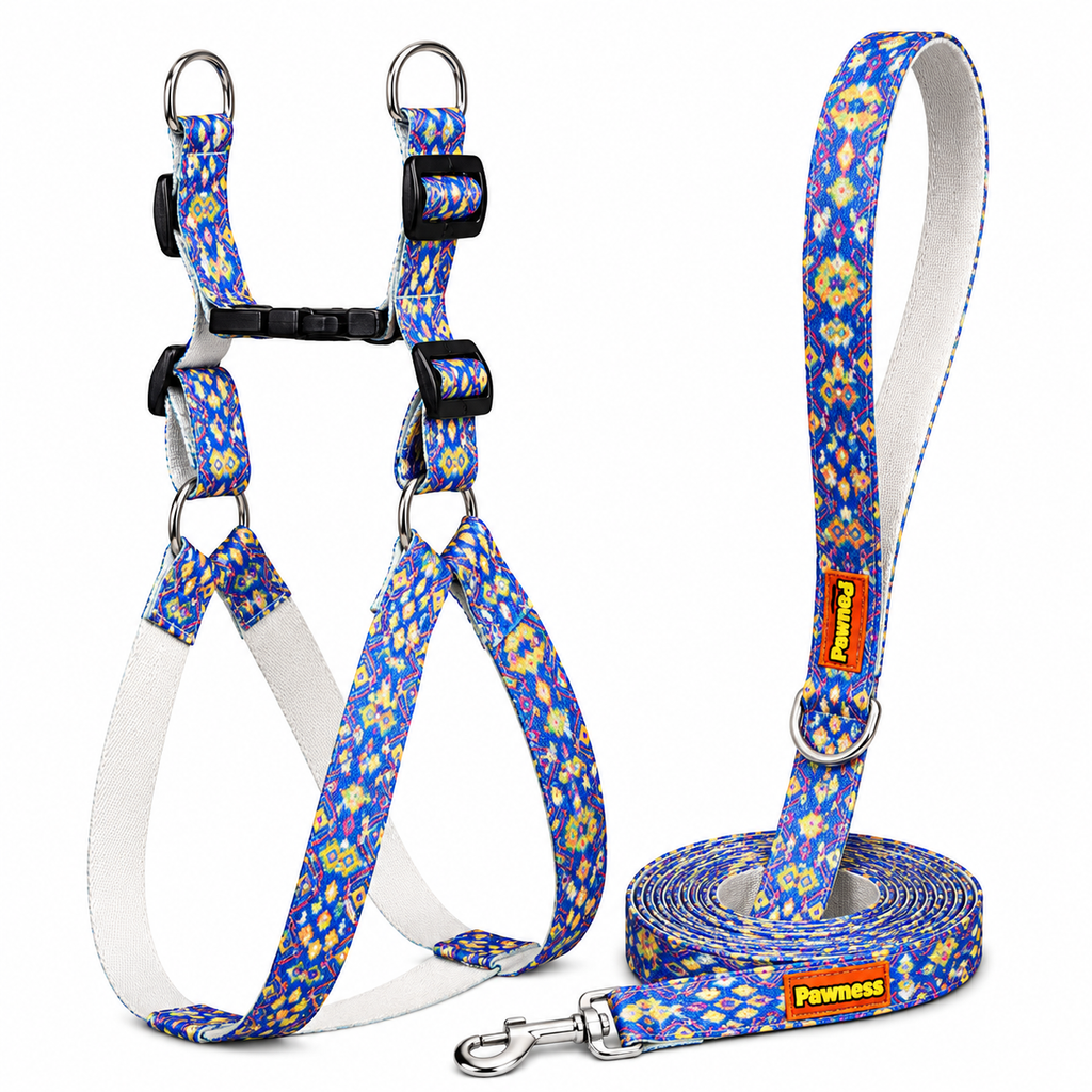 Artisan Blue Harness & Matching Leash