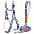Artisan Blue Harness & Matching Leash