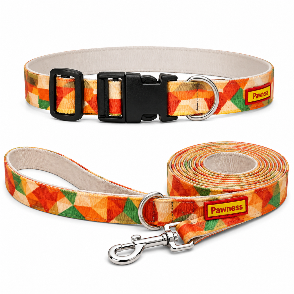 Sunset Collar & Matching Leash
