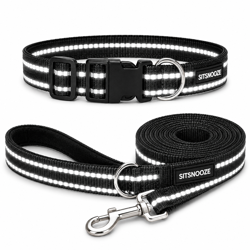 NightGlow Collar & Matching Leash