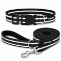 NightGlow Collar & Matching Leash