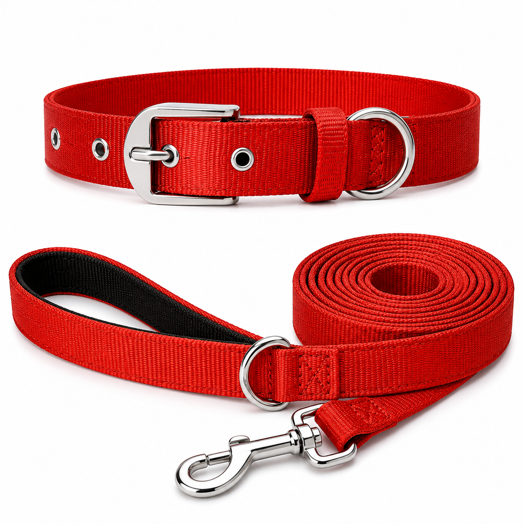 Guardian Collar & Matching Leash