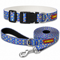 Artisan Blue Collar & Matching Leash