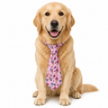 Sweet Treat Printed Tie