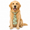 Tiger Tales Printed Tie