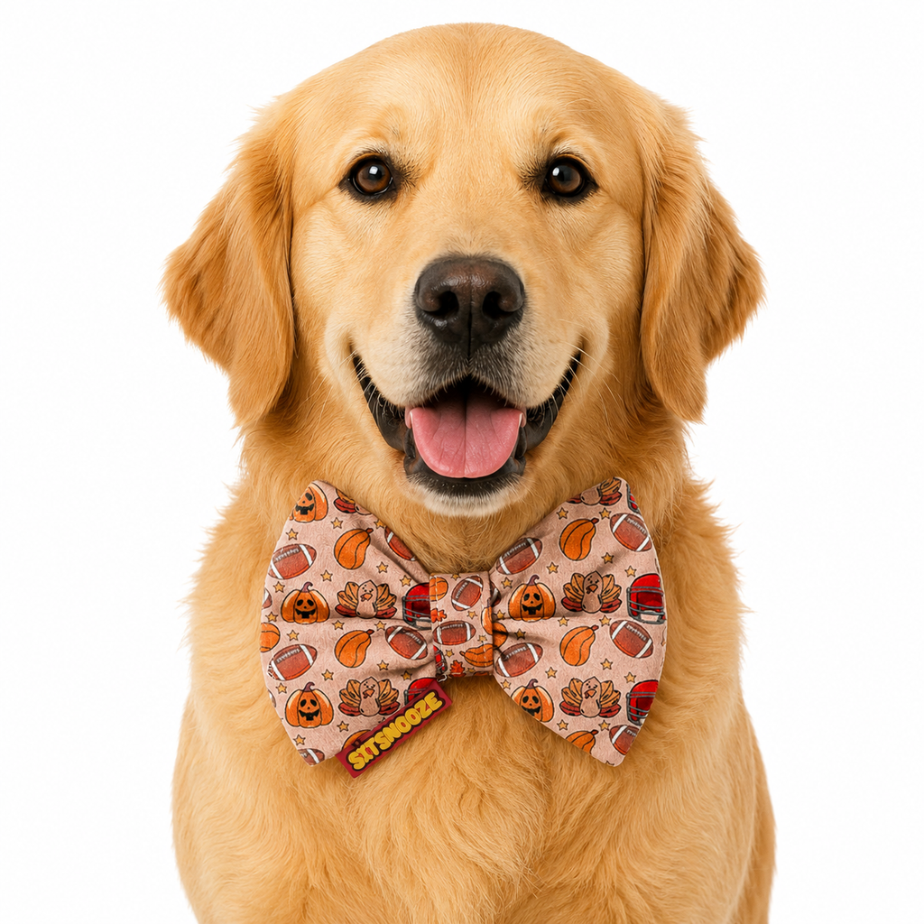 Autumn Harvest Printed Bow Tie