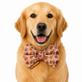 Autumn Harvest Printed Bow Tie