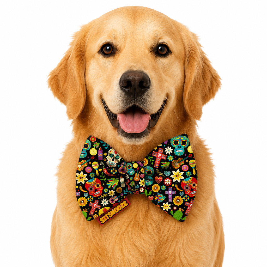 Sugar Skull Fiesta Printed Bow Tie