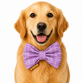 Lavender Plaid Printed Bow Tie