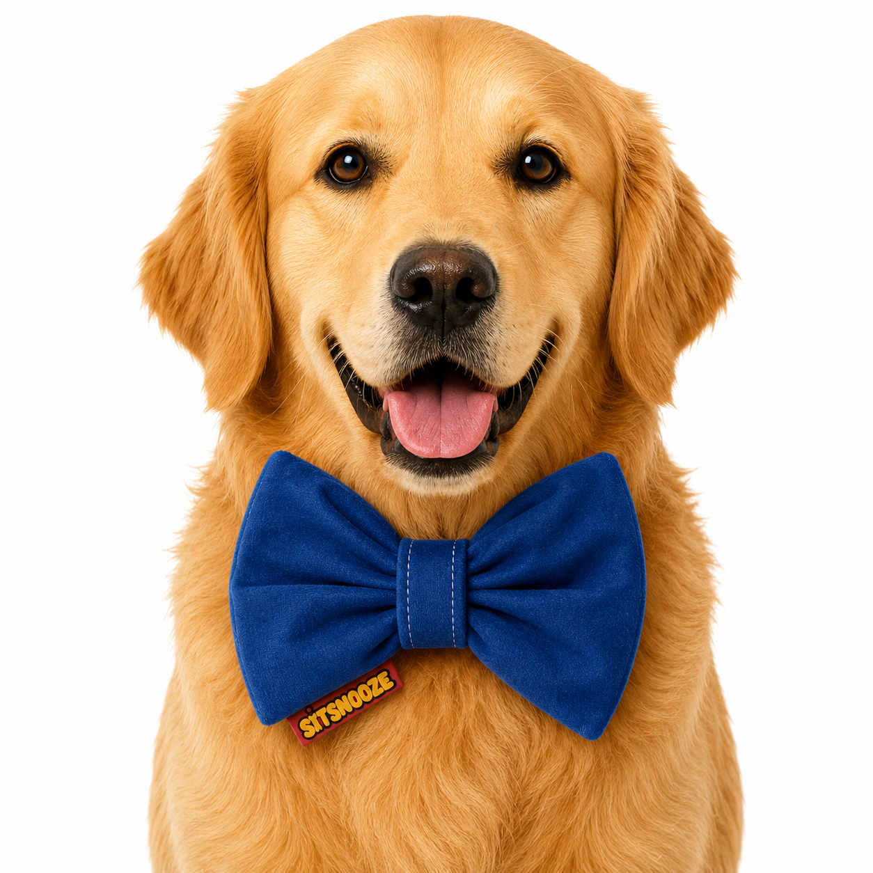 Signature Bow Tie For Dog