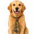 Woodland Bear Printed Tie