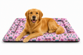 SnoozePad Mat Party Radio