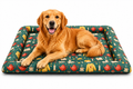 SnoozePad Mat Winter Jacket