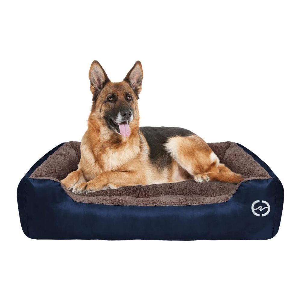 Brown and Blue Rectangle Shape Extra Soft Orthopedic Dog Bed